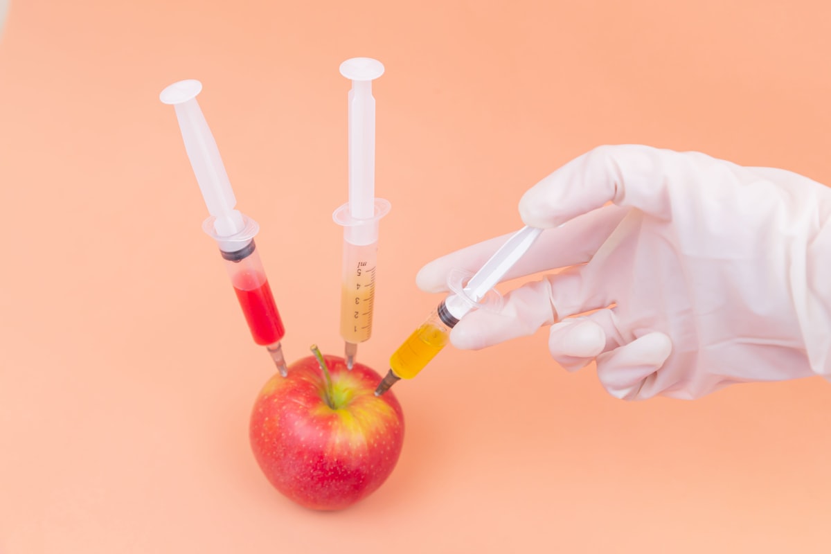 Ricette salutari per intolleranti